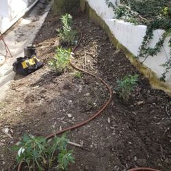 Irrigation Valves 