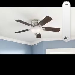 Ceiling fan
