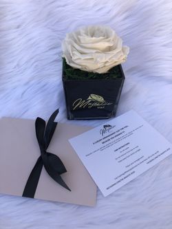 Preserved rose in vase