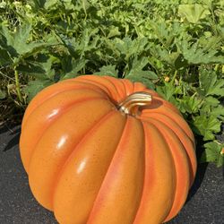 super rare large indoor/outdoor decorative pumpkin 