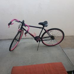 Womans bike