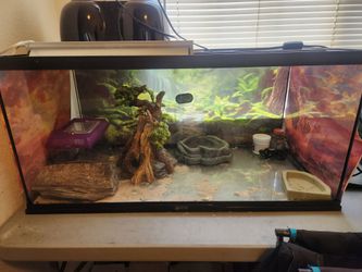 40g reptile tarrium