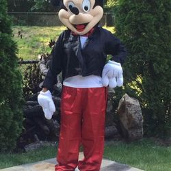 Have Two Adult Costumes mickey and minnie