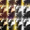 Christy