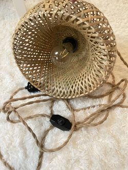 Plug in Pendant Light