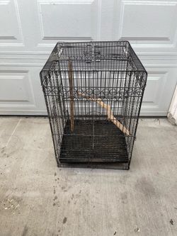 Parrot cage