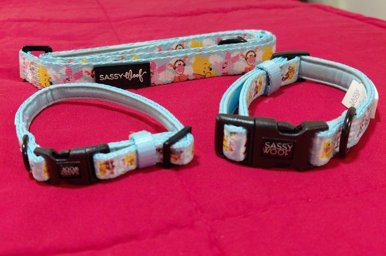 Winnie The Pooh Collar & Leash