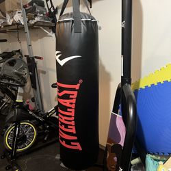 Everlast Punching Bag With Stand