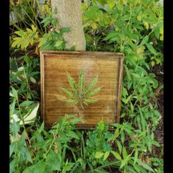 Mysticals Souls Products - Homemade 12x12 Wooden Handmade Tray Real Plant $55  
