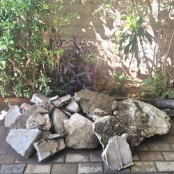 VARIOUS SIZE CEMENT PIECES. FREE! FREE!!