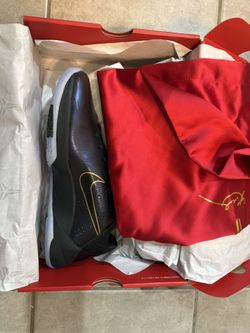 Kobe year Of Snake