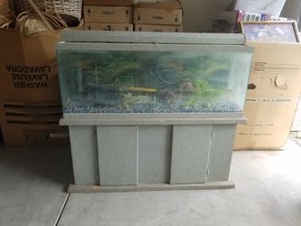 Fish tank
