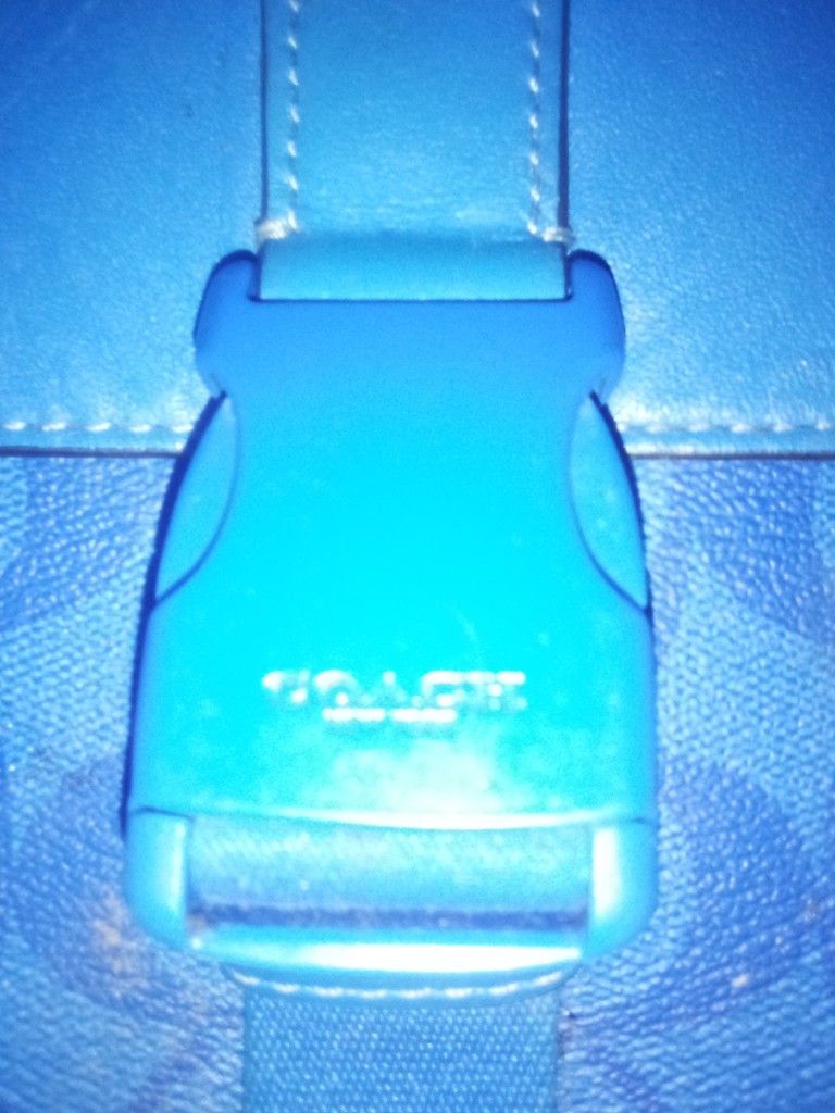 Blue Coach Pocketbook