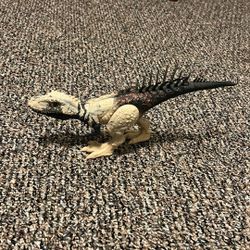 Dinosaur Toy
