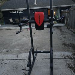 Pull  Dip and Ab Gym