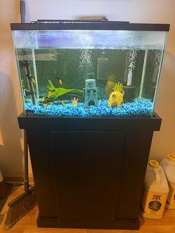 Glass Fish Tank Aquarium with Stand and LED Light