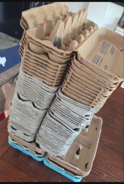 egg cartons