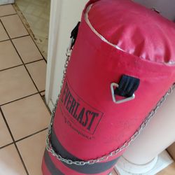 Punching bag
