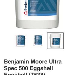 Benjamin Moore 5 Gallon Paint 