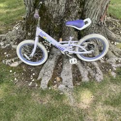 16” Trek Bike 