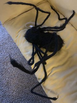 Big Spider For Halloween With A Waist Band 