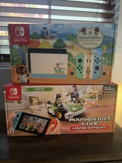 Nintendo Switch Animal Crossing Edition with Luigi Set Game 