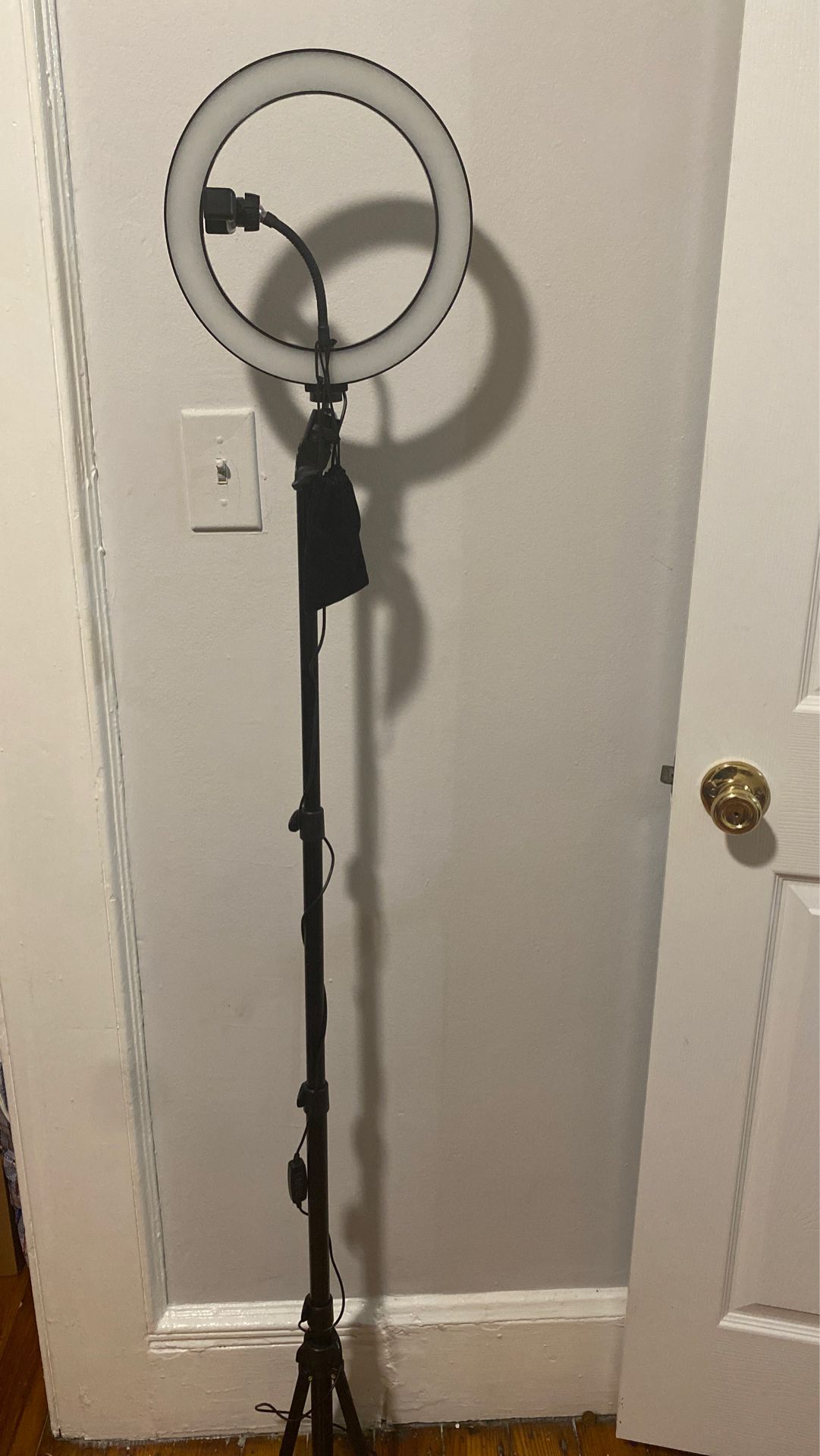 5 foot selfie stand with ring light and remote