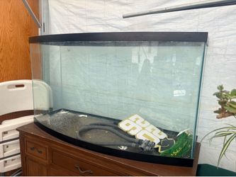 Fish tank