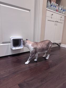 SureFlap Microchip Cat or Small Sized Dog Door Connect One Way or Two Way Entry Control for indoor or outdoor use