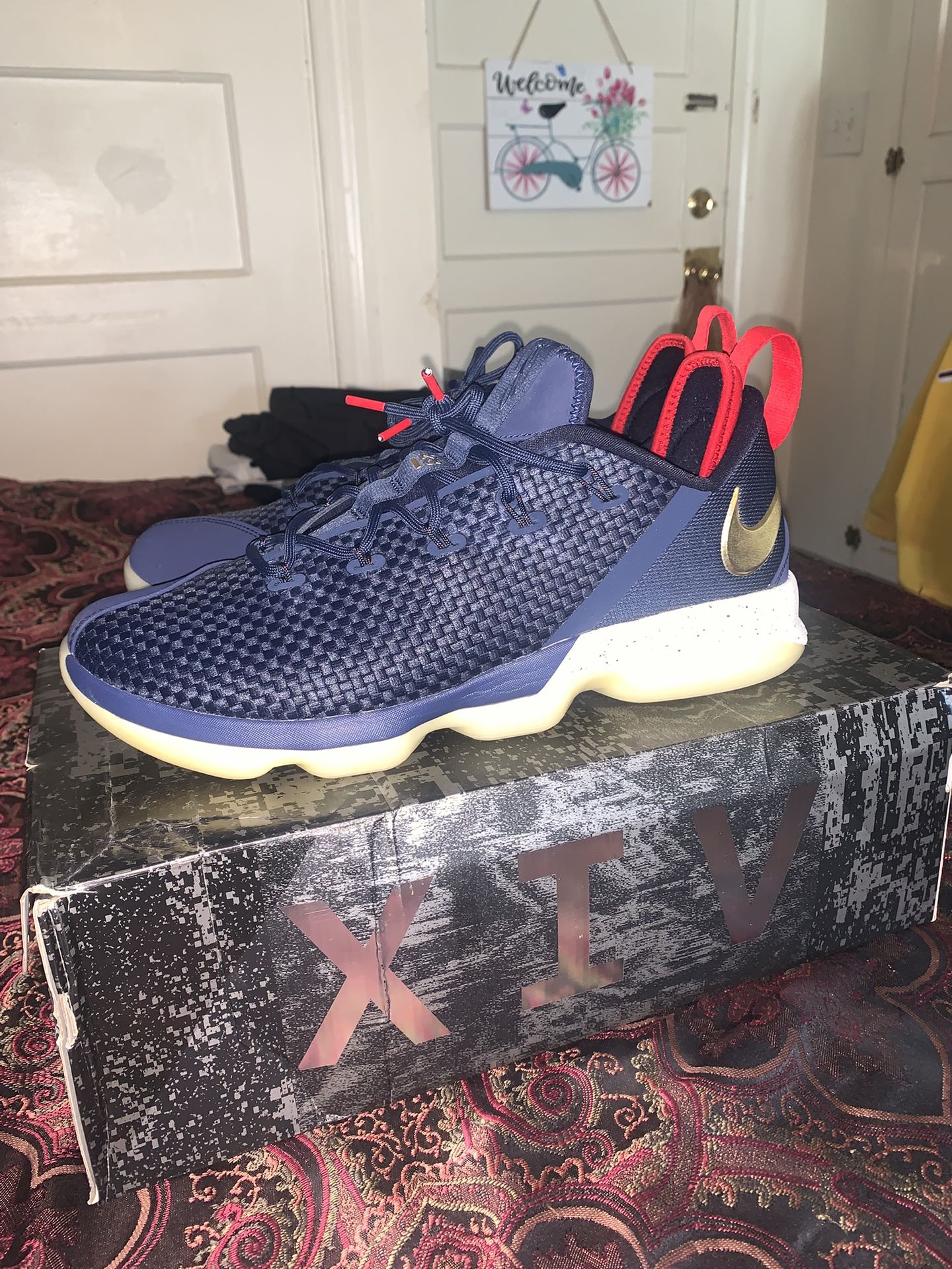 Nike LeBron 14 Low EP LN2