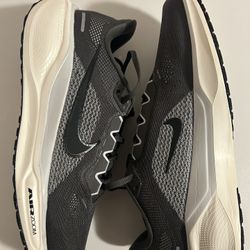 Nike Pegasus 41 Men 10