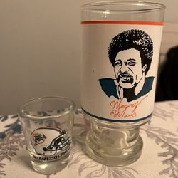 Miami Dolphins Glass Set