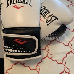 Everlast Boxing Training Gloves 