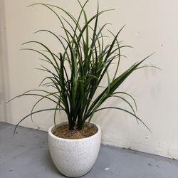 Cute Fake Plant With Pot