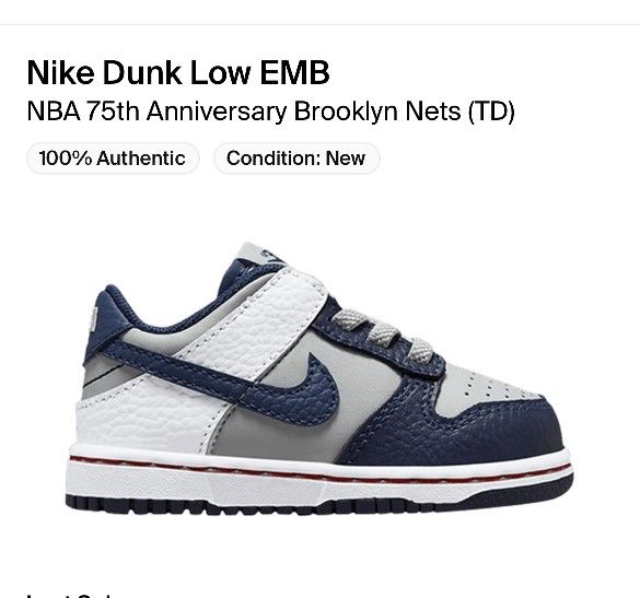 Nike Dunk Low 75th Anniversary NY Nets Toddler Size 4c