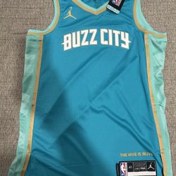Charlotte Hornets Jersey Mens Small NBA Basketball Buzz City Edition Nike Jordan