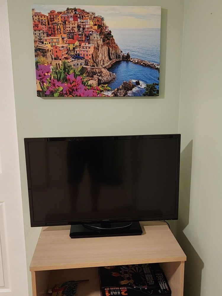 Insignia 32 in LED HD TV