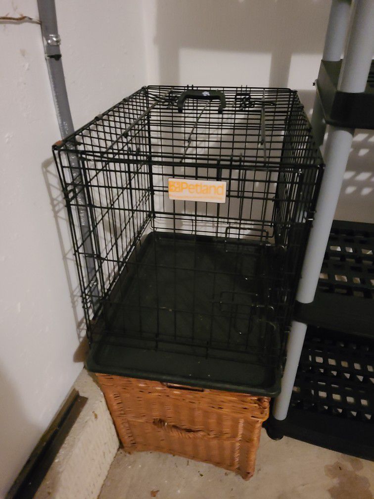 Dog Cage And  Stairs