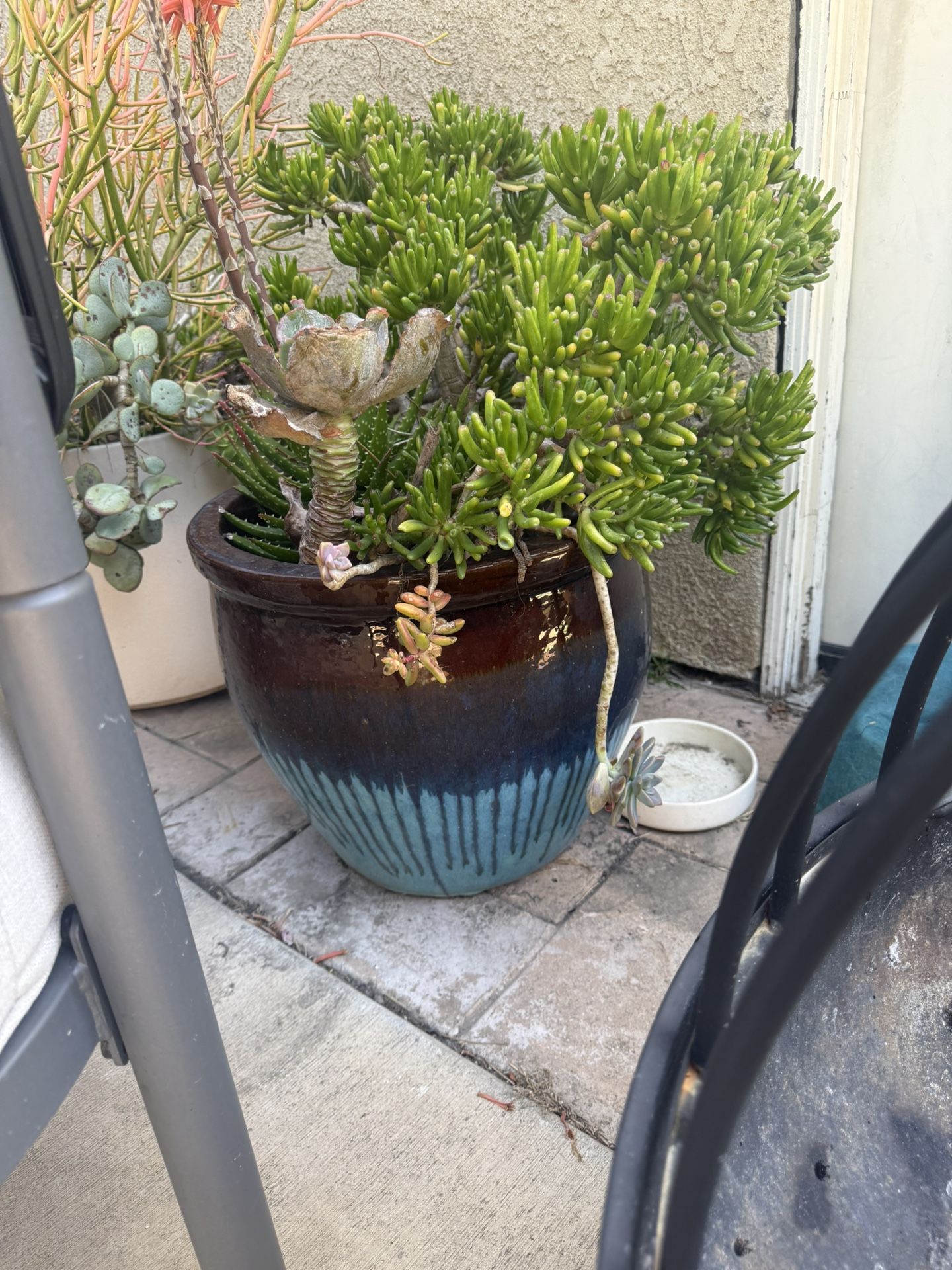 Ceramic Pots 