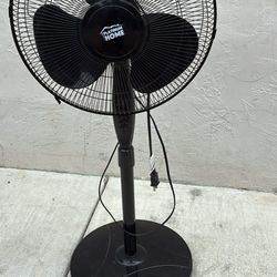Fan 