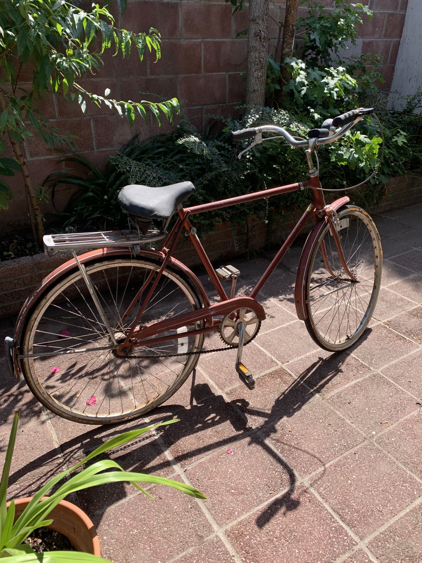 Rare Schwinn Bike