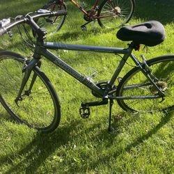 Gray Schwinn Tourist hybrid bicycle
