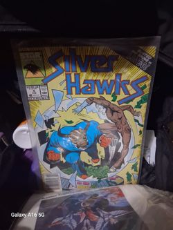 Silver hawk and Teenage mutant  ninja turtle