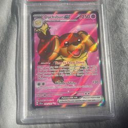 Dachsbun Ex 160. PSA 10 