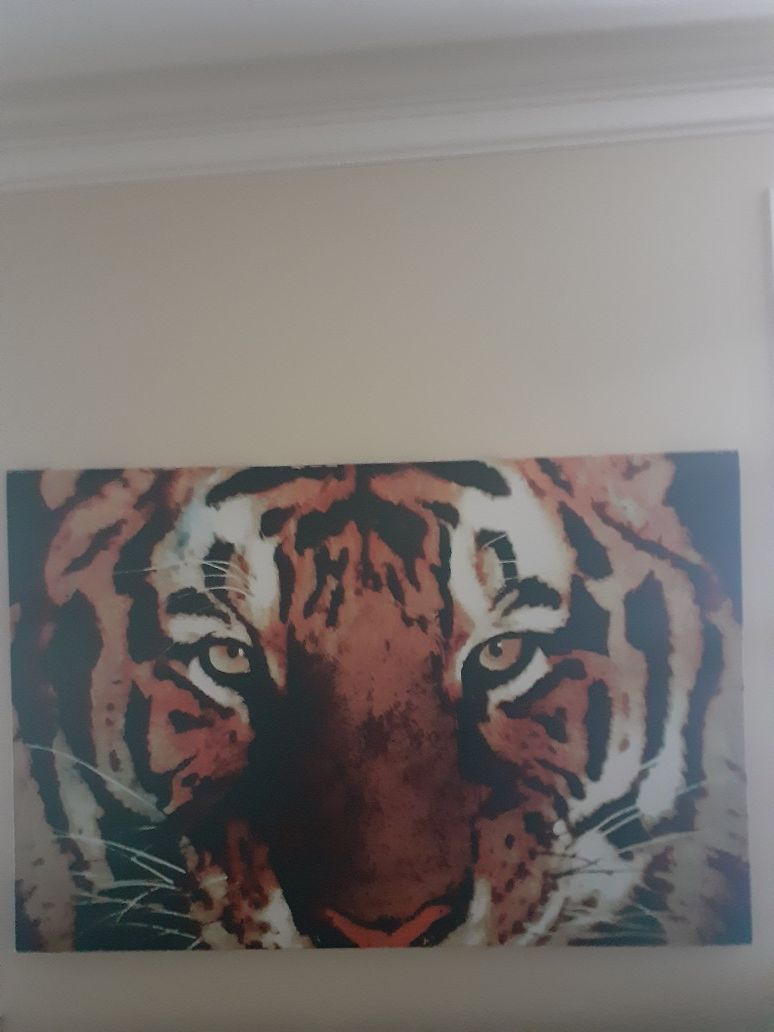 Huge tiger picture
