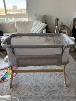 Newton Bassinet