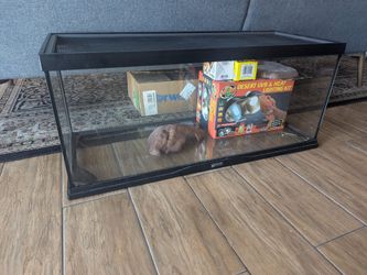 Reptile tank