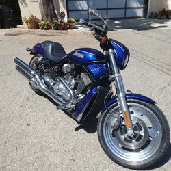 2006 Harley Davidson Night Rod V Rod