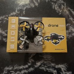 Mini Drone