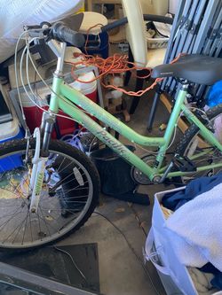 Pacific bike for sale
